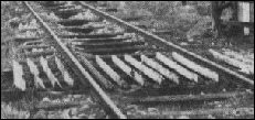 Cattle grids